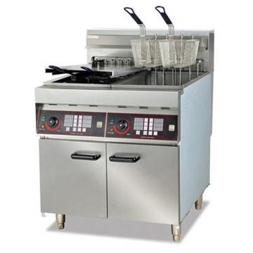17+17LTR Electric Double Deep Counttop Chicken Fryer for Top-Rated (WF-172)