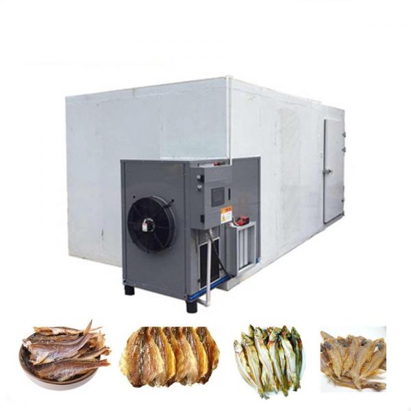 Vacuum Grain Fish Fruit Food Cocoa Beans Vegetable Freeze Dryer Drying Processing Machine Price